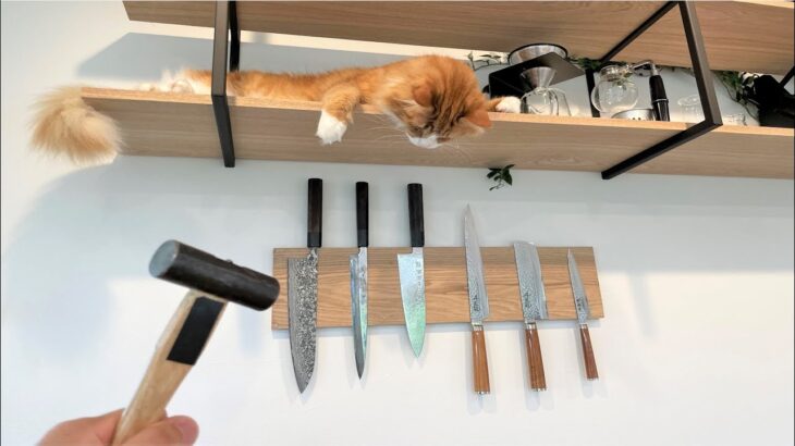 New Kitchen & Magnetic Knife Holder DIY