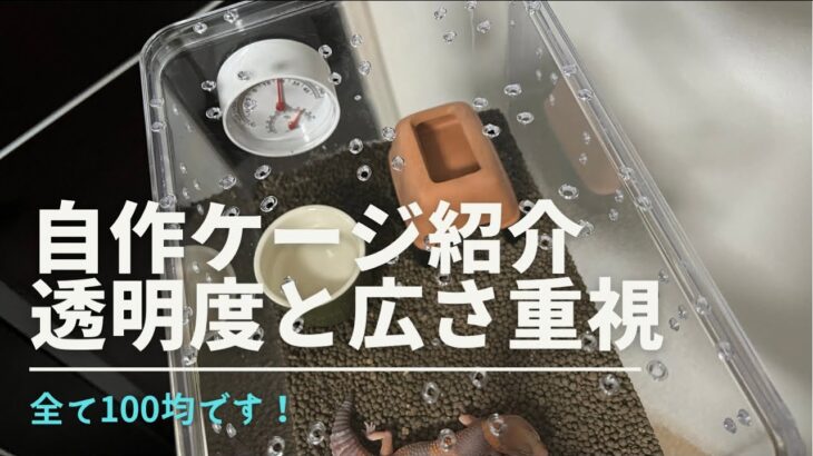 【100均素材でDIY】今ウチで使用している自作のケージ紹介です【か〜る】