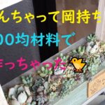 【多肉植物】なんちゃって岡持ち100均DIY💗