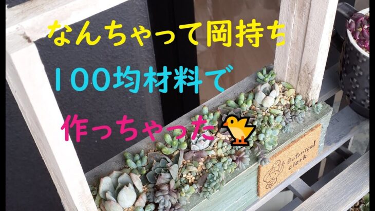 【多肉植物】なんちゃって岡持ち100均DIY💗