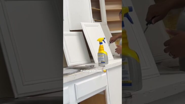 DIY| PAINTING CABINETS WITH BEYOND PAINT (Bright white)| kitchen edition #diy #kitchen #cabinet