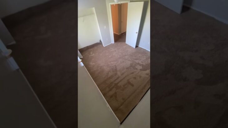 How to install carpet!! #diy #viral #shorts #shortvideo #satisfying