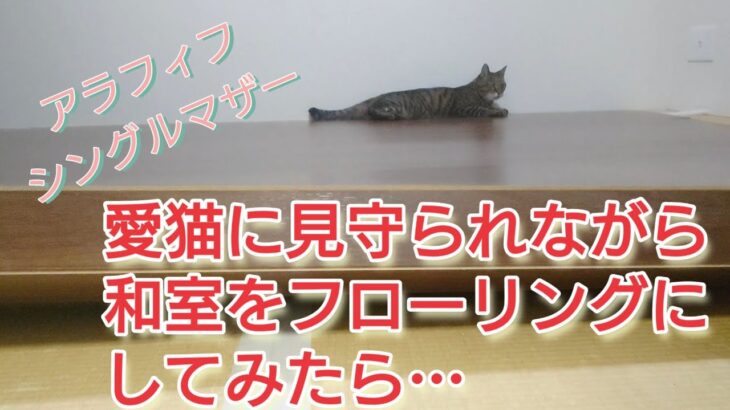 猫がいる中、和室をフローリングにDIYしてみたら、最初から最後まで見守ってくれた。