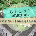 [多肉植物・DIY] #33 日当たりと収納を考えた多肉棚〜やっと出来ました〜多肉初心者DIY