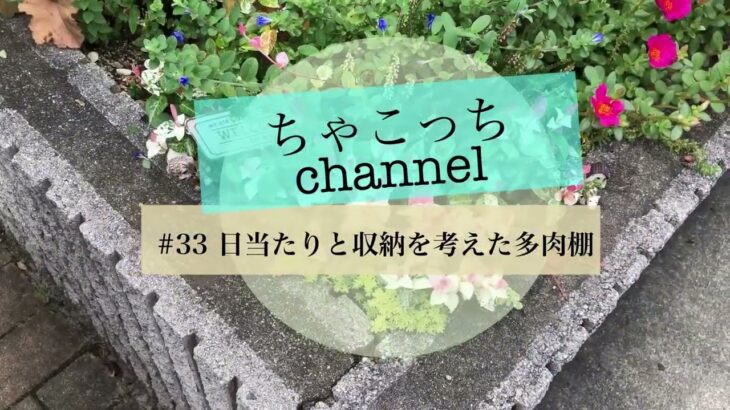 [多肉植物・DIY] #33 日当たりと収納を考えた多肉棚〜やっと出来ました〜多肉初心者DIY