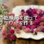 【100均DIY】セリアの乾燥剤でドライフラワーを作る★自然乾燥と比べてみる