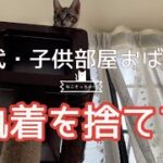 【ねこと断捨離】50代バツイチ子供部屋おばさん家の不用品をさで捨てました#実家の片付け #実家のねこ#きょうだい猫