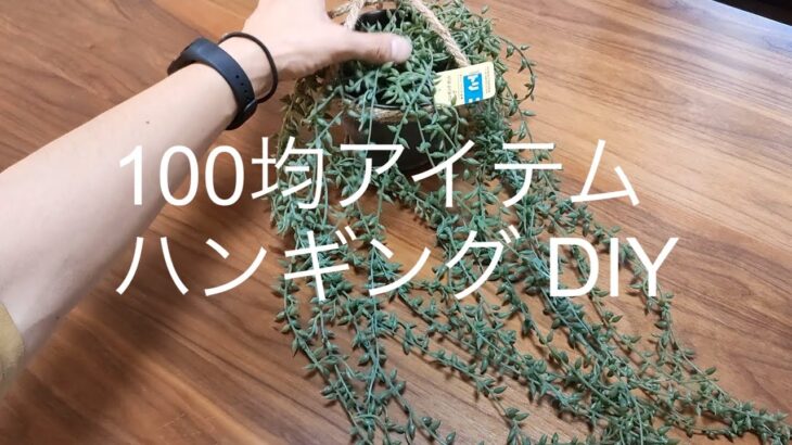 【コスパ最高】100均アイテムでハンギングDIY