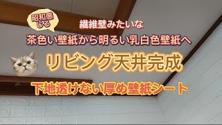 第44話🏚️リビング天井完成〜昭和感じる繊維壁部分が綺麗に👍厚手壁紙シートで下地処理省略 #中古物件  #diy  #リフォーム #天井