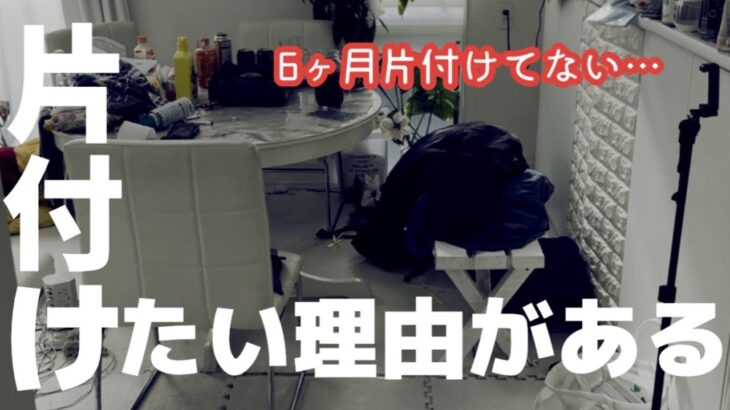 【６か月片付けてなかった汚部屋リビング片付け】【主婦】マイホーム 片付け/ルーティン/家事/ズボラ/リセット/家電DIY好き　片付けられない主婦　座骨神経痛　ヘルニア　自律神経失調症