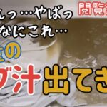 【閲覧注意】ドブ超えた…カーテン汚れ激落ちリビング真っ白オキシ漬け【主婦】汚部屋大掃除じゃなく小掃除　片付け/ルーティン/家事/ズボラ/リセット/家電DIY好き　座骨神経痛　ヘルニア　自律神経失調症