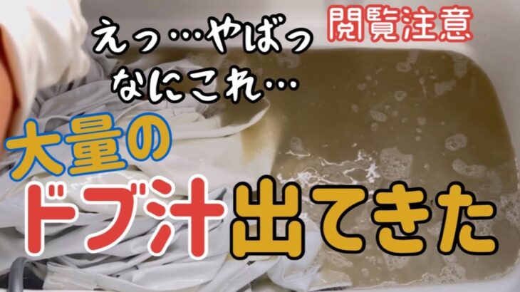 【閲覧注意】ドブ超えた…カーテン汚れ激落ちリビング真っ白オキシ漬け【主婦】汚部屋大掃除じゃなく小掃除　片付け/ルーティン/家事/ズボラ/リセット/家電DIY好き　座骨神経痛　ヘルニア　自律神経失調症