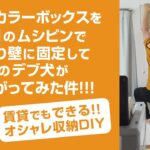 【DIY】普通のカラーボックスを120円のムシピンで無理やり壁に固定して９６kgのデブ犬がぶら下がってみた件！賃貸でもできるおやれ収納DIY