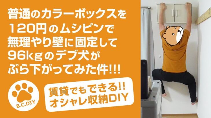 【DIY】普通のカラーボックスを120円のムシピンで無理やり壁に固定して９６kgのデブ犬がぶら下がってみた件！賃貸でもできるおやれ収納DIY