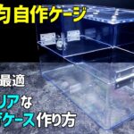 【100均自作ケージ】両生類・爬虫類に最適なオールクリアな飼育ケースの作り方