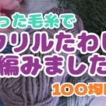 🌼アクリルたわし🌼を編みました　作品紹介【100均DIY】