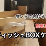 【DIY】リビングで工作！ボンドだけで簡単に組み立て！