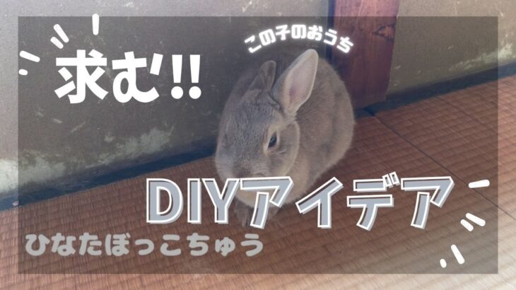 DIYアイデア求む　うさちゃんのお部屋　インテリア