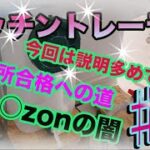 【DIY】キッチントレーラー自作㉒ 保健所調査 A○azonの闇【保健所】 【仕込み場】 【キッチンカー】