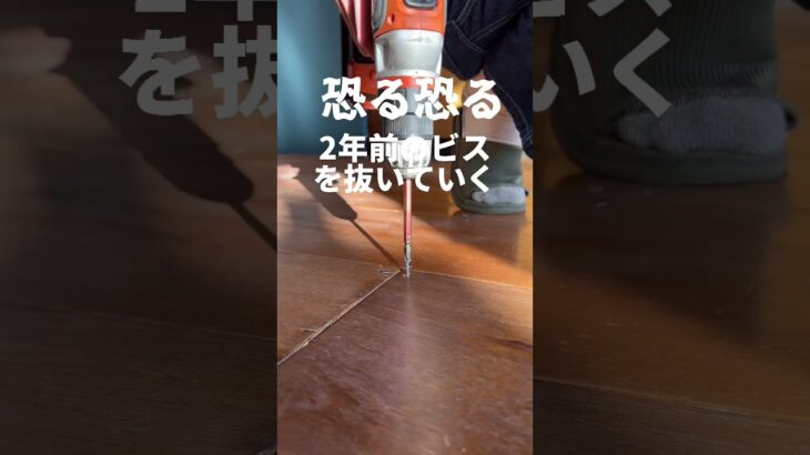 庭DIY終わったから家リノベ開始！！　#diy #フローリング　#解体