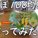 ハーバリウムって100均で作れるんですね