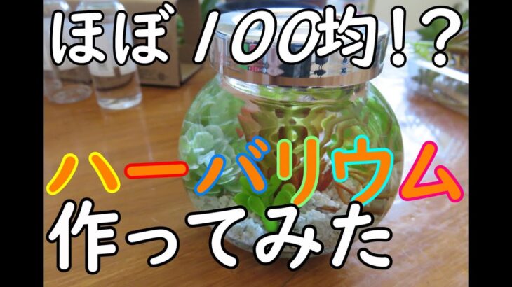 ハーバリウムって100均で作れるんですね