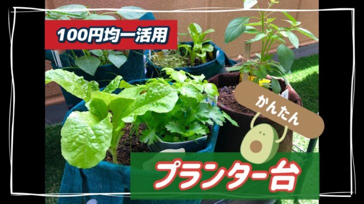 【100均DIY】簡単に作るプランター台