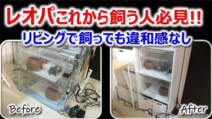 【おうちDIY】レオパこれから飼う人必見！！ゲージすっきり収納　リビングで飼っても違和感なし！