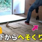 【DIY】畳からフローリング！畳を剥がしたらすごいもの出てきた！