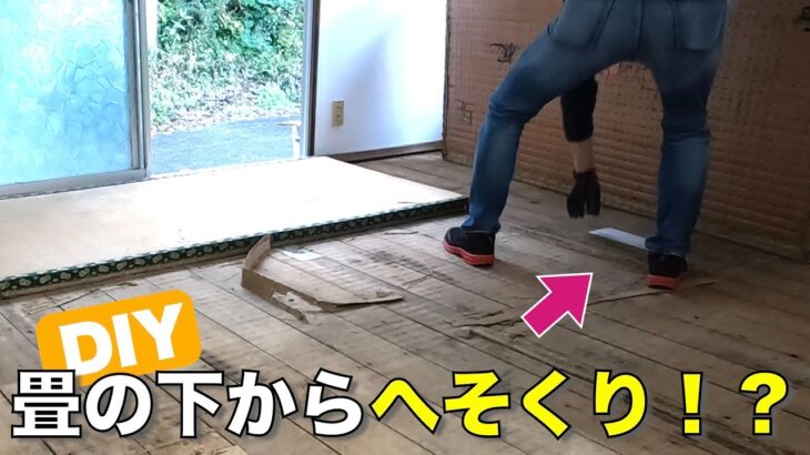 【DIY】畳からフローリング！畳を剥がしたらすごいもの出てきた！