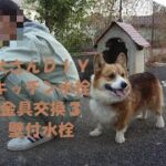 父さんＤＩＹ　キッチン水栓金具交換３　壁付水栓