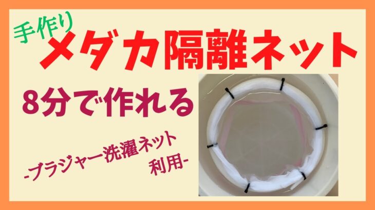 簡単！縫わない！8分でできる　100均のブラジャー用洗濯ネットとバックアップ材で作る　メダカ隔離ネット　その３