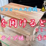 アクティブ妹DIY奮闘記  扉を開けるとシリーズ‼️