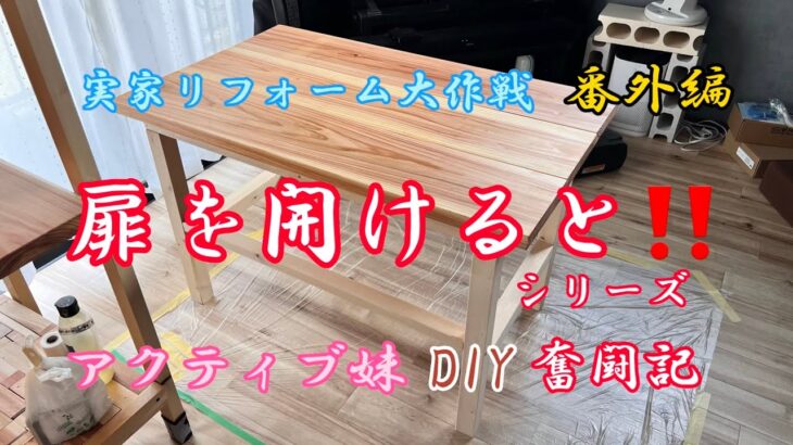 アクティブ妹DIY奮闘記  扉を開けるとシリーズ‼️