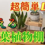 【DIY】映える観葉植物棚!!簡単に作れます!!