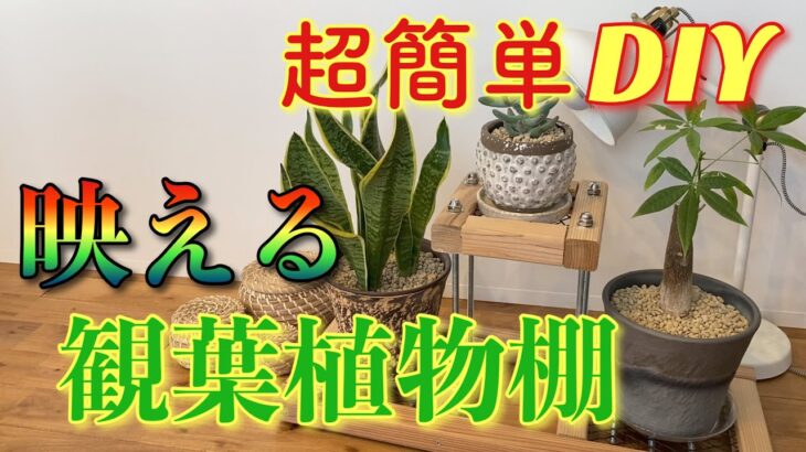 【DIY】映える観葉植物棚!!簡単に作れます!!