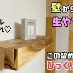 【DIY】【棚】壁から棚を生やす方法！！お部屋やお店におしゃれな棚を作る！！シンプルなのに存在感あり！！留め方にもコツやポイントがあります！！技あり#diy #棚 #飾り棚 #アカシア#日曜大工士