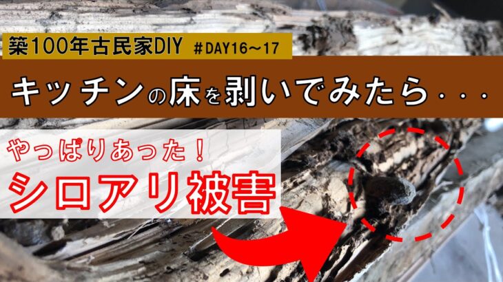 【築100年古民家DIY】キッチン周りの解体　シロアリ被害