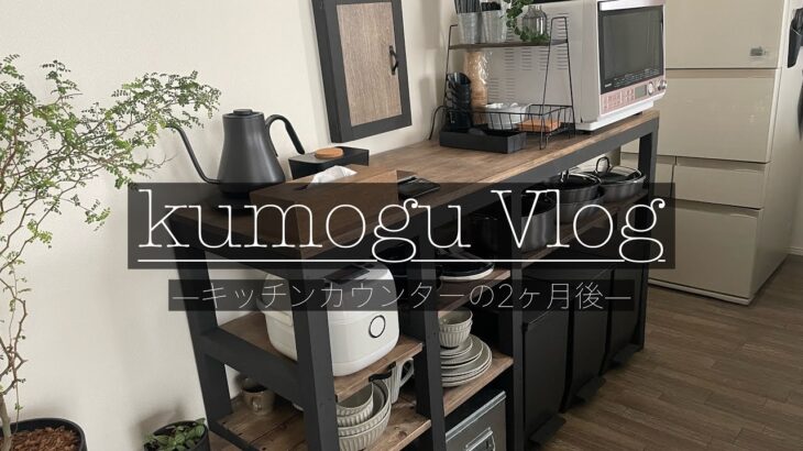 【Vlog】DIYしたカフェ風キッチンカウンターの使い心地