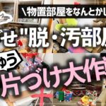 【プロの本気お片づけ事例】物置部屋状態の子供部屋を片づけたい！収納のプロの意外な作戦でまさかの大変身！？お片づけビフォーアフター事例【前編】（リビング／子供部屋／ワークスペース）