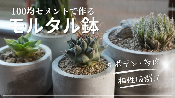 モルタル針diy|多肉・サボテンの植木鉢を100均セメントで自作！