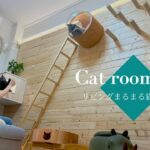 【リビングまるまる猫部屋計画＃5】賃貸マンションの壁をDIYして猫たちが楽しめる空間に大改造！