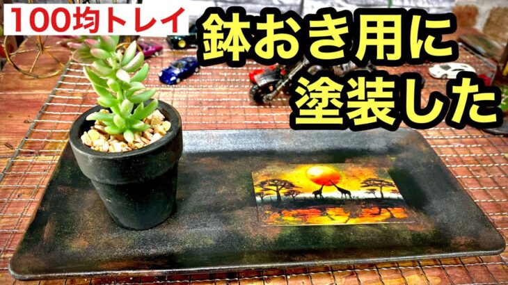 100均トレイで鉢を飾るだけでオシャレなガーデン雑貨🪴 インテリアdiy