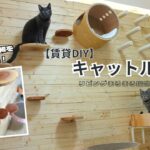 【リビングまるまる猫部屋計画＃6】賃貸マンションでも目指せ猫カフェ！壁一面をDIYしてぬくもり感じるスペースに大改造！