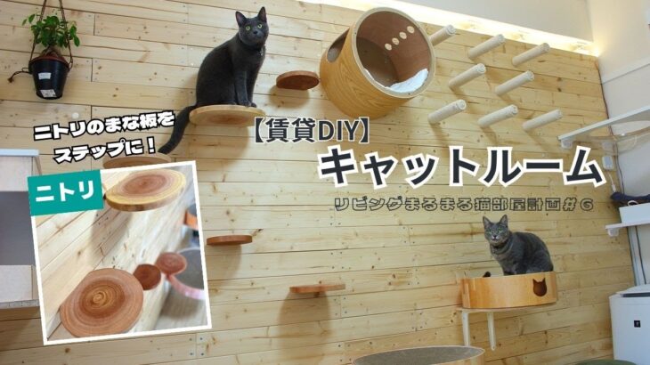 【リビングまるまる猫部屋計画＃6】賃貸マンションでも目指せ猫カフェ！壁一面をDIYしてぬくもり感じるスペースに大改造！