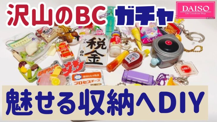 沢山のBCガチャガチャを魅せる収納へ100円ショップダイソーの材料を使ってDIYしてみます😊#vlog #ミニチュア #DAISO#DIY#自作