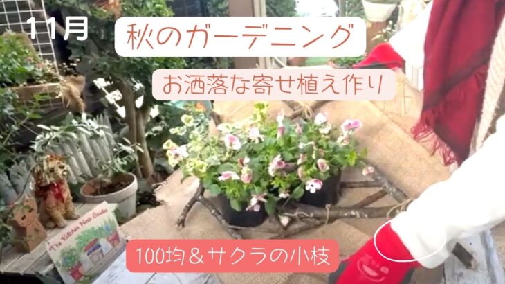 【秋のガーデニング】100均DIYでお洒落な寄せ植え作り/100均アイテムとサクラの小枝のコラボ/壊れた椅子が驚きの変身