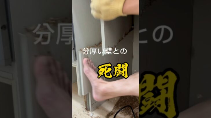 【3】パパがアフレコ自信無くした #キッチンdiy #diy #暮らしの工夫 #ミニマリスト