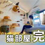 【リビングまるまる猫部屋計画】ついに完成！賃貸マンションだけどお洒落な猫カフェ風リビングに大改造♩劇的ビフォーアフター！賃貸 | DIY |原状回復