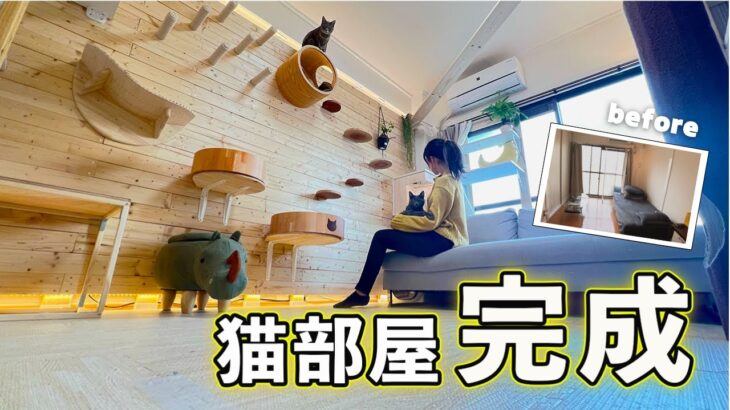 【リビングまるまる猫部屋計画】ついに完成！賃貸マンションだけどお洒落な猫カフェ風リビングに大改造♩劇的ビフォーアフター！賃貸 | DIY |原状回復